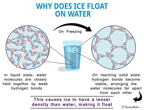 Chapter 2 3.6 try #2. Why does ice float? Click the card to flip 👆. The hydrogen bonds in solid water force the molecules farther apart from one another than the same bonds in liquid water. Click the card to flip 👆.
